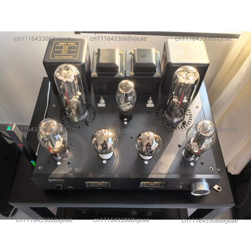 Высококачественный ламповый ус – обзор и цена Class A Tube Amplifier 845