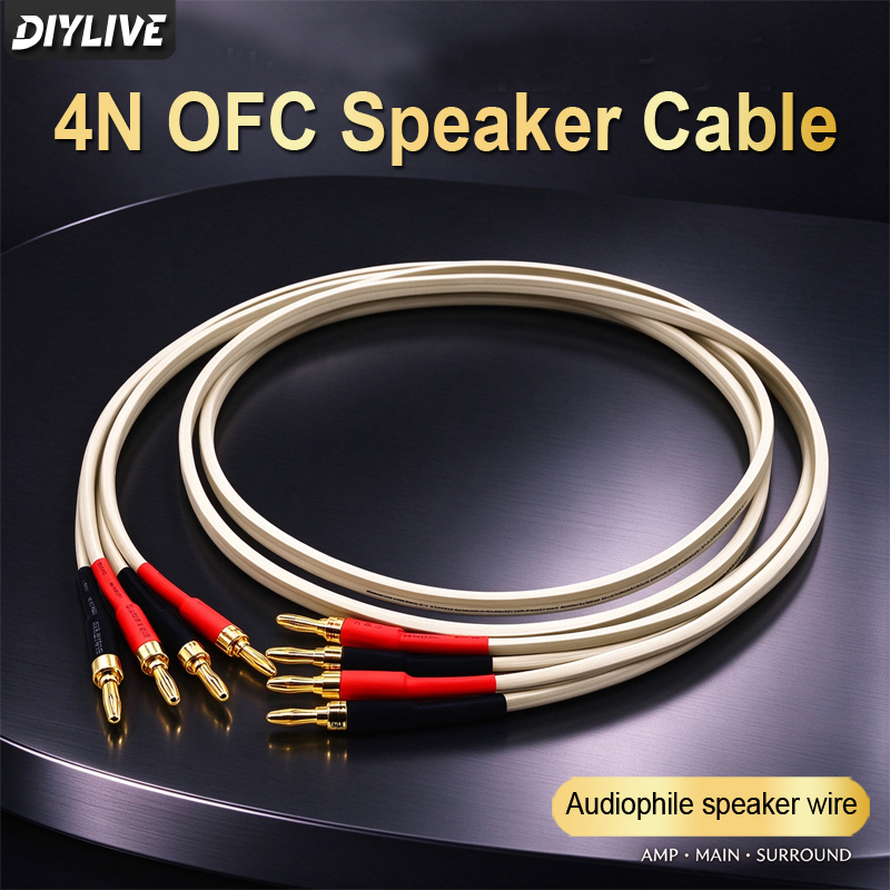 Кабель для усилителя мощности  – обзор и цена Tube Headphone Amplifier Otl